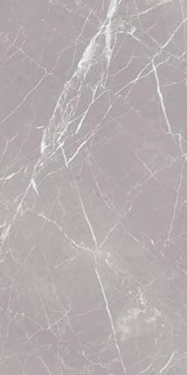 Arial Grey — 600 × 1200 mm matte glazed vitrified tile