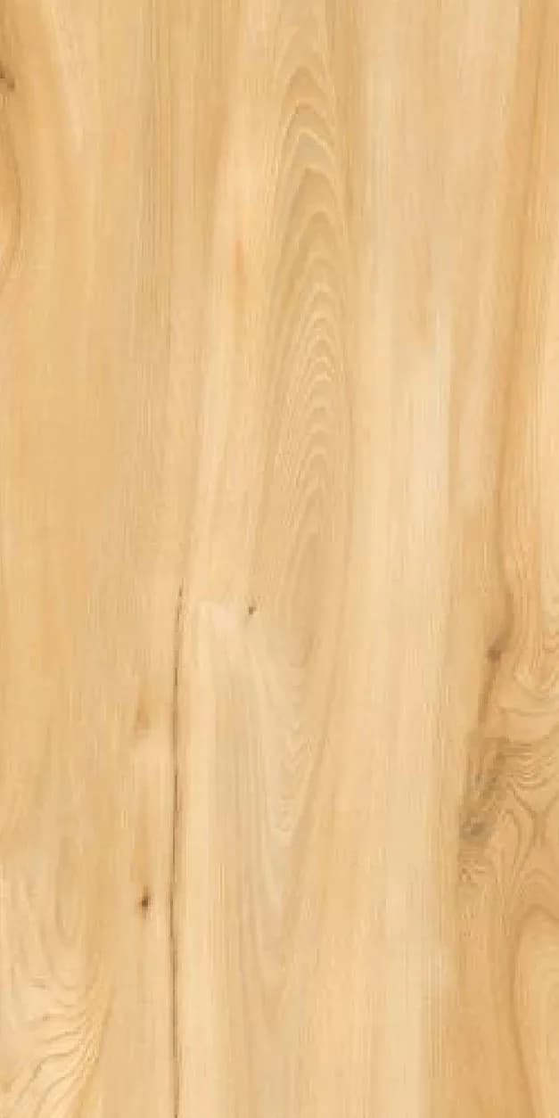 Walnut Brown — 600 × 1200 mm matte glazed vitrified tile