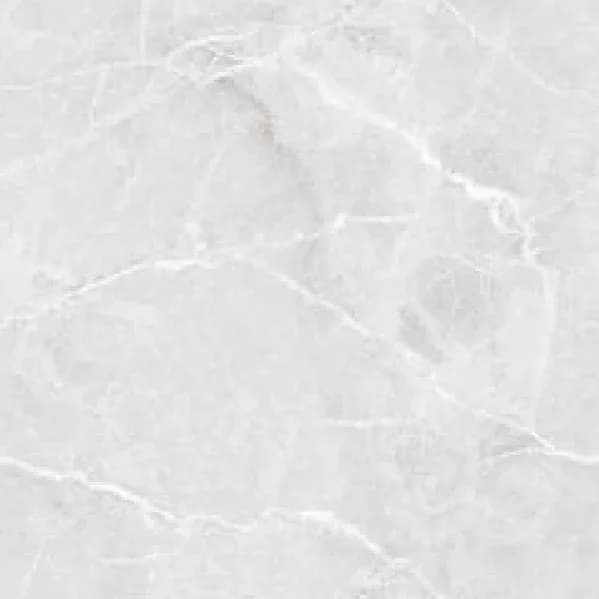 Saloni Grey — 600 × 600 mm glossy endless glazed vitrified tile