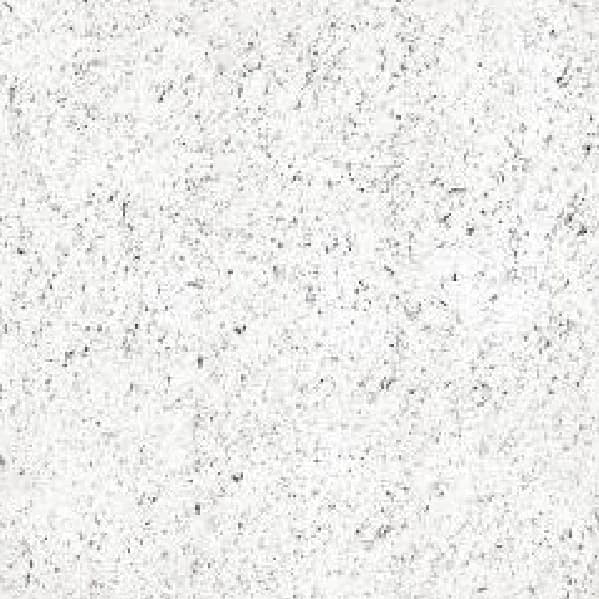 Brio White — 600 × 600 mm glossy glazed vitrified tile