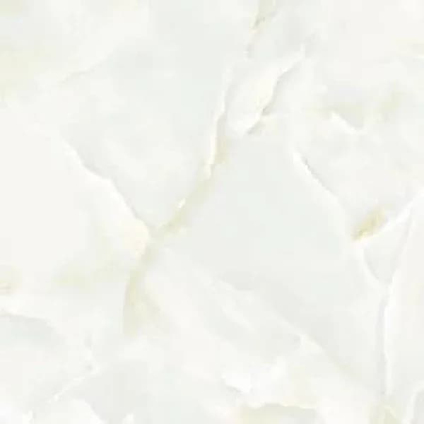 Orpat Olive — 600 × 600 mm glossy glazed vitrified tile