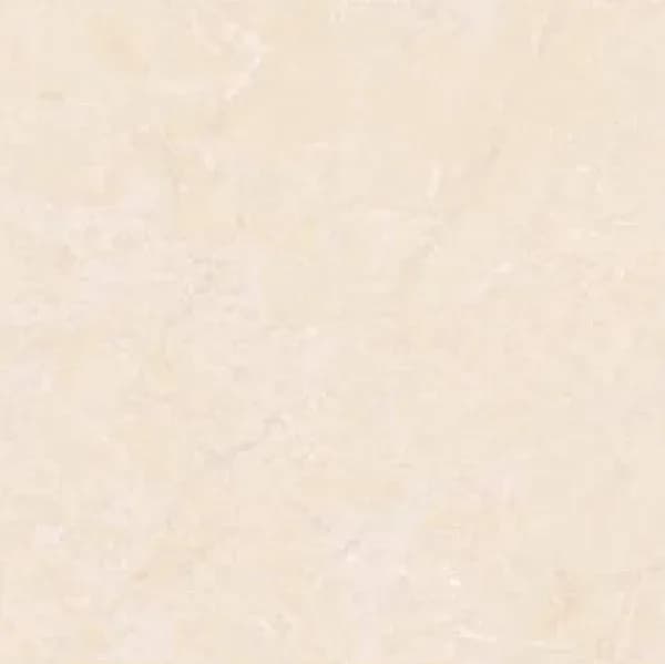 Elactic Light — 600 × 600 mm glossy glazed vitrified tile