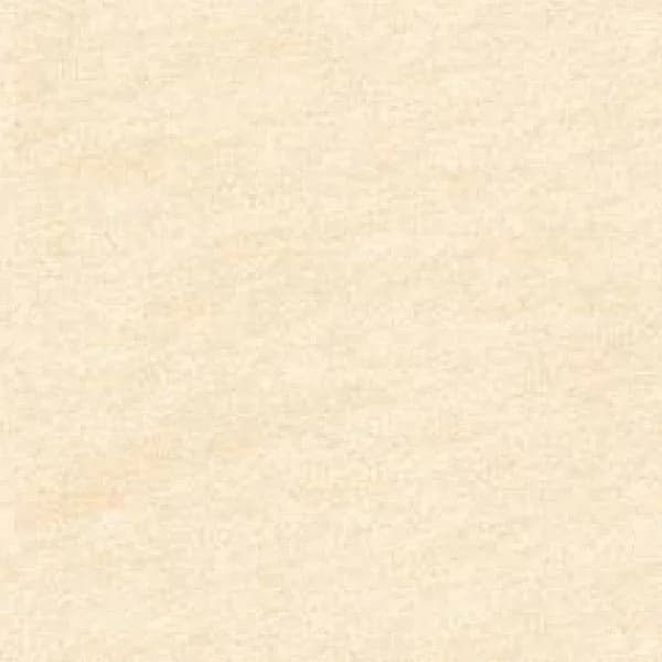 Planet Beige — 600 × 600 mm matte glazed vitrified tile