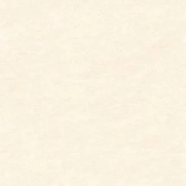Planet Crema — 600 × 600 mm matte glazed vitrified tile