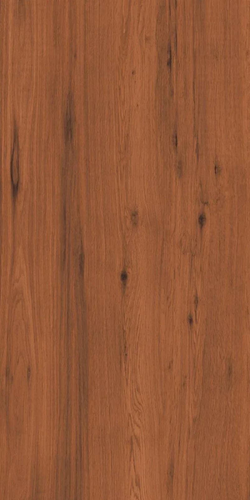 SG Canadian Wallnut — 600 × 1200 mm lapato vitrified tile