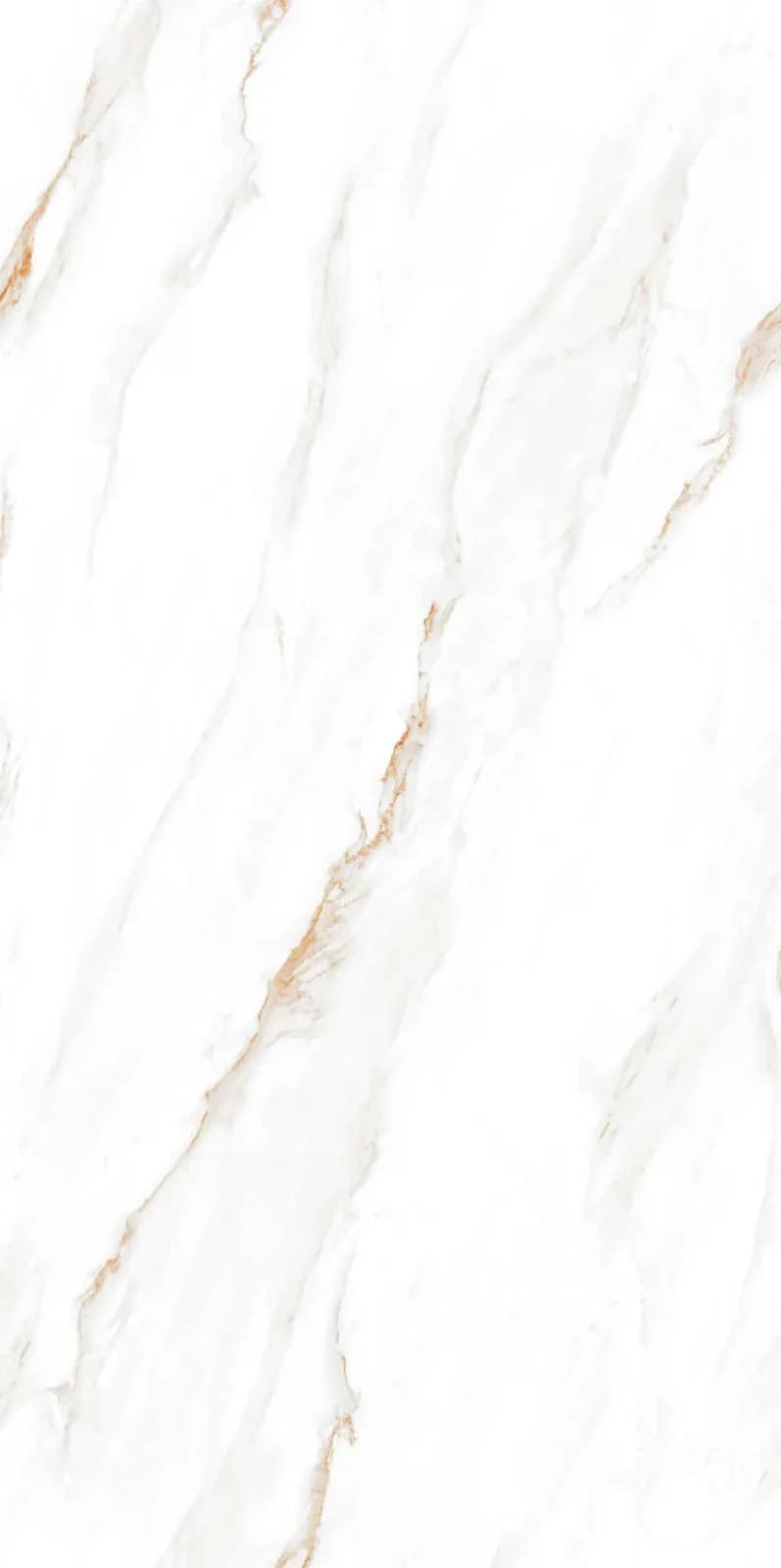 CRV Polo White — 600 × 1200 mm carving vitrified tile