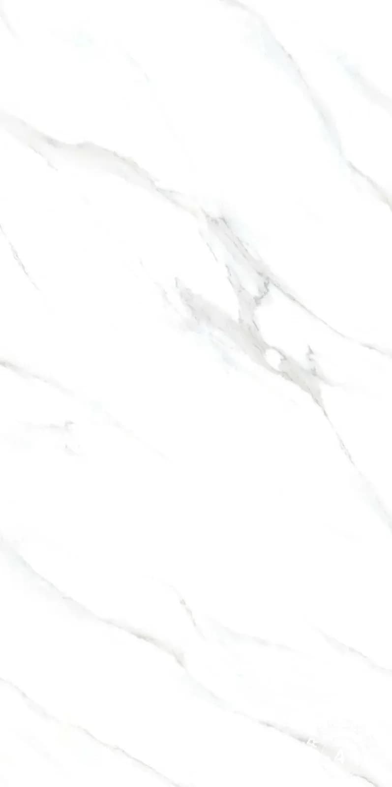 CRV Sataturio Blanc — 600 × 1200 mm carving vitrified tile