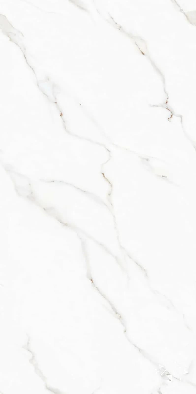 Polar Elegance — 600 × 1200 mm end carving vitrified tile