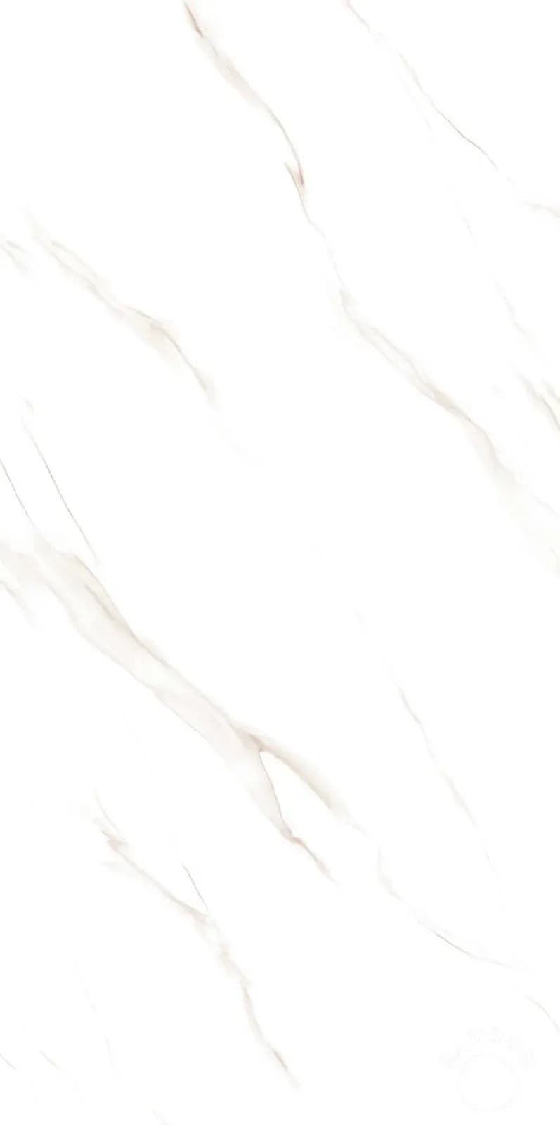 Polar Luxe — 600 × 1200 mm end carving vitrified tile