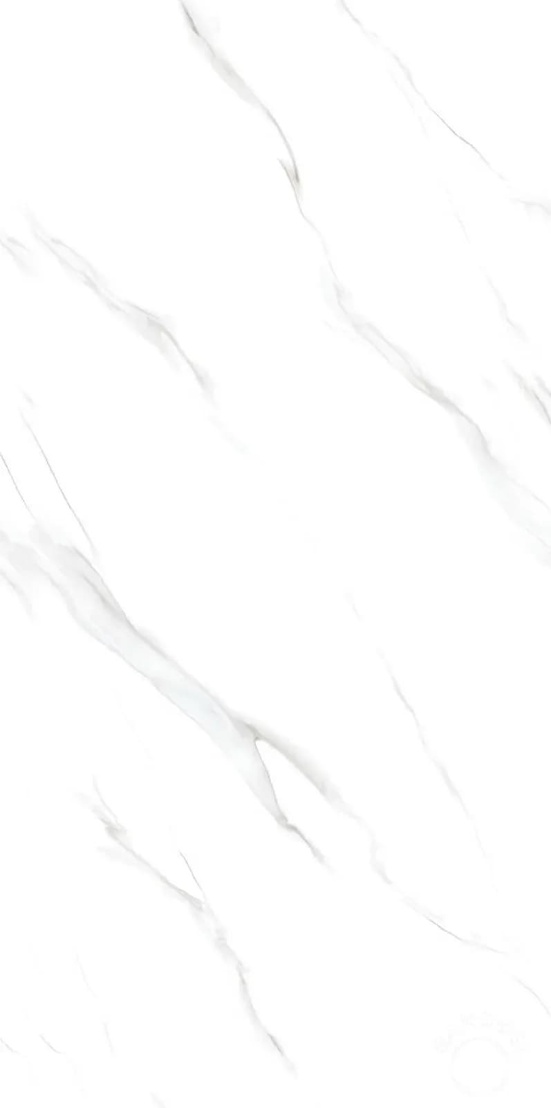 Polar Silver — 600 × 1200 mm end carving vitrified tile