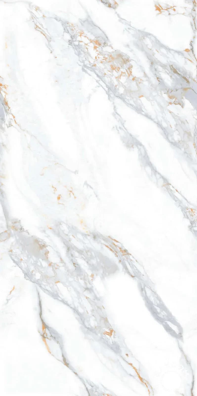 Shadow Grey — 600 × 1200 mm end carving vitrified tile