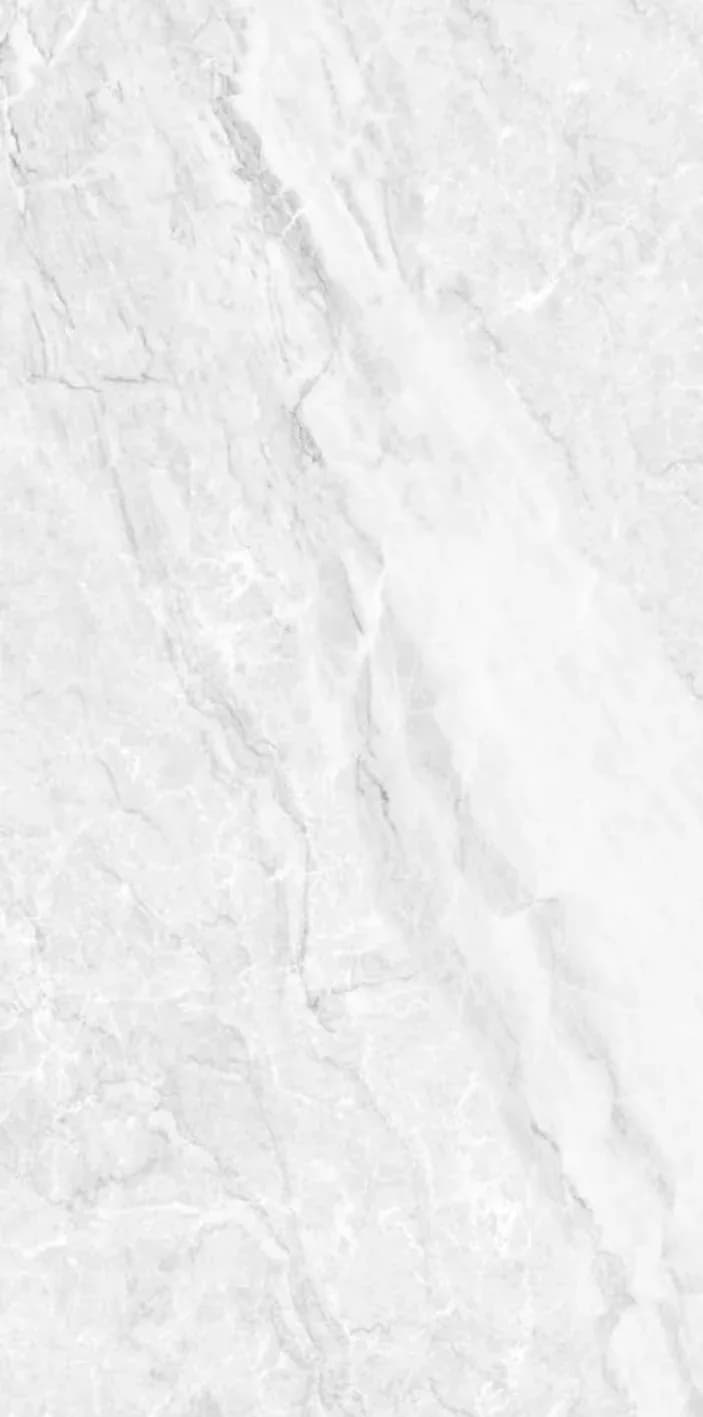 Albano White — 600 × 1200 mm glossy glazed vitrified tile