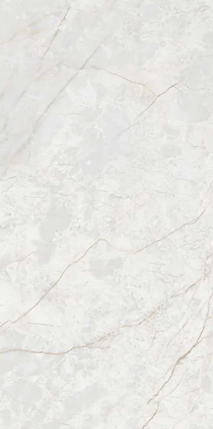 APN 119 — 600 × 1200 mm glossy glazed vitrified tile