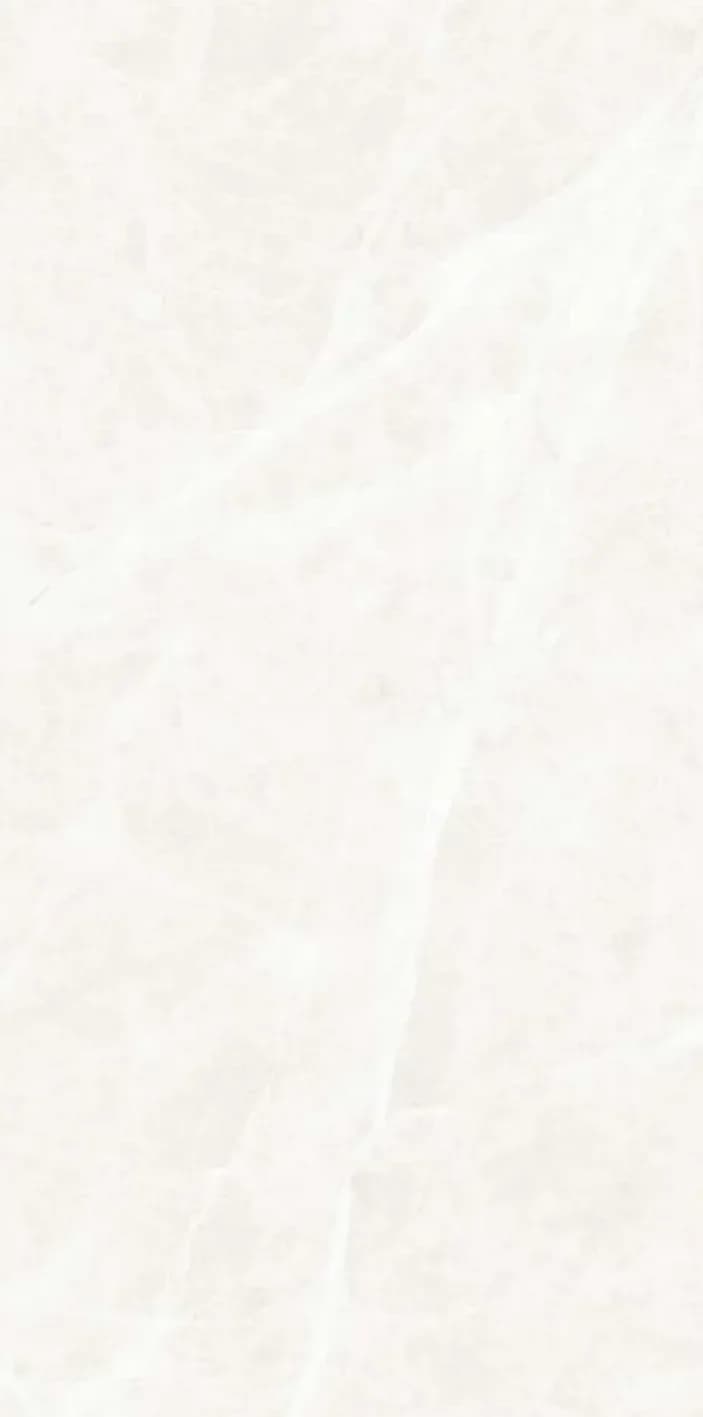 Belvit Bianco — 600 × 1200 mm glossy glazed vitrified tile