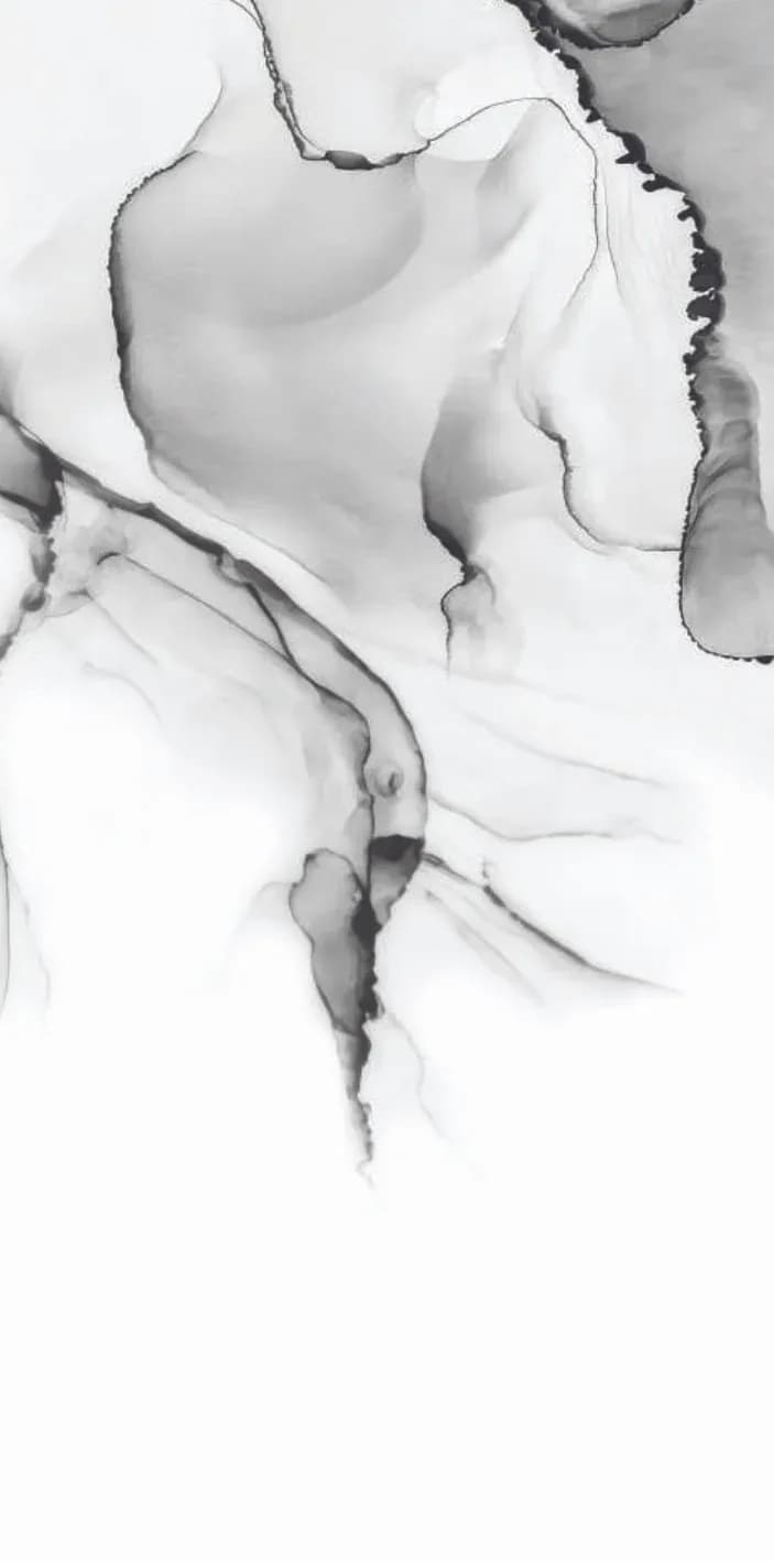 Black Smoke — 600 × 1200 mm glossy glazed vitrified tile