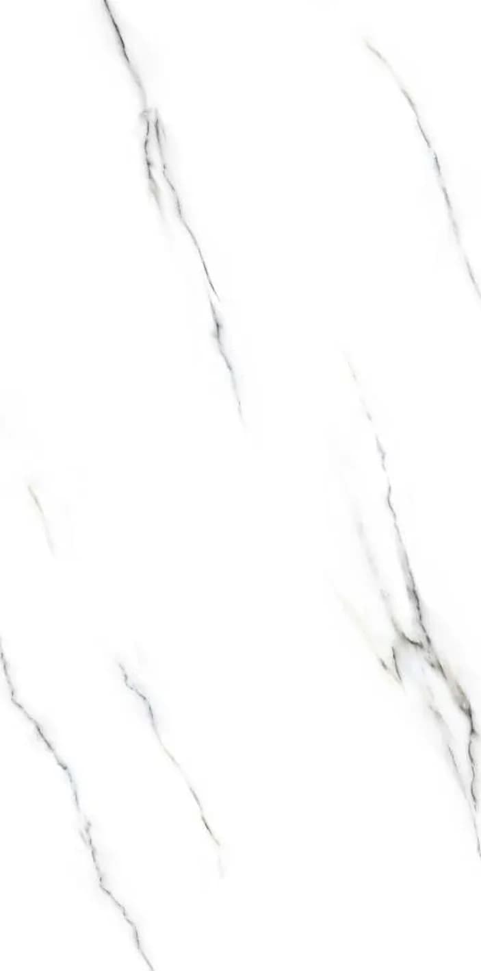 Botanic White — 600 × 1200 mm glossy glazed vitrified tile