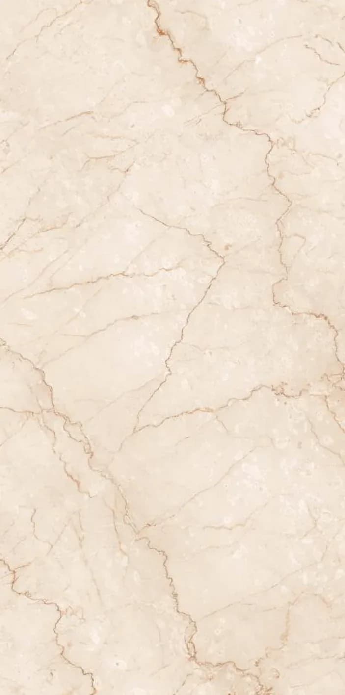 Bottochino Brown — 600 × 1200 mm glossy glazed vitrified tile