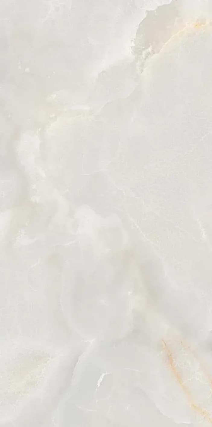Turin Onyx — 600 × 1200 mm glossy glazed vitrified tile