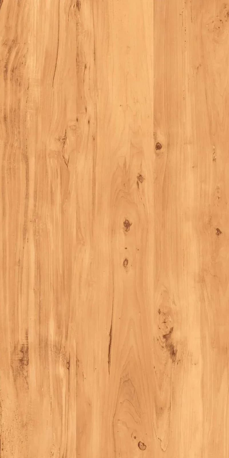 Alabama Natural — 600 × 1200 mm matte vitrified tile