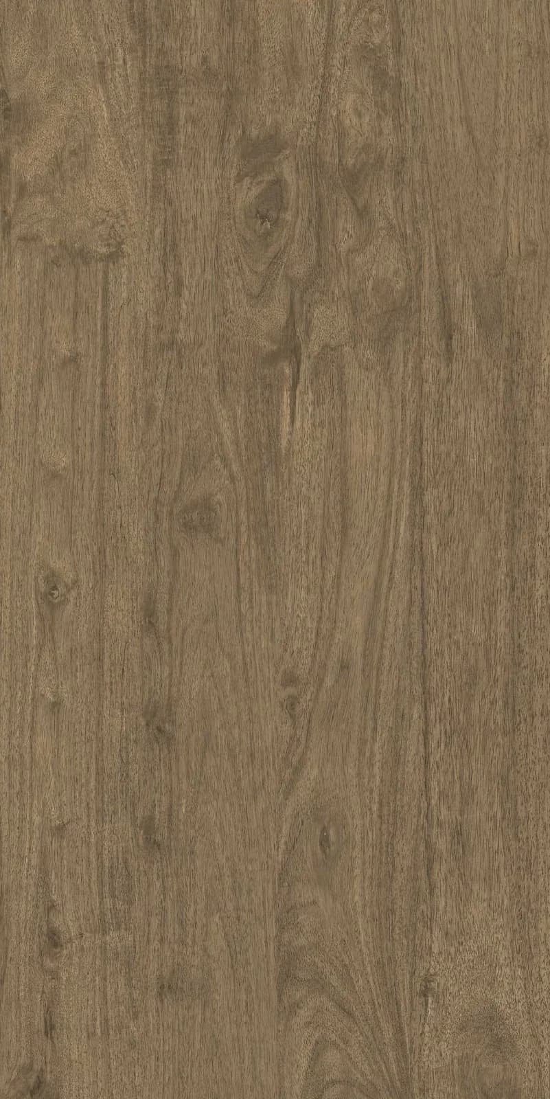Ancient Oak Brown — 600 × 1200 mm carving vitrified tile
