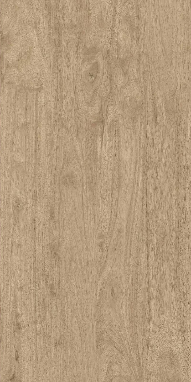 Ancient Oak Natural — 600 × 1200 mm carving vitrified tile