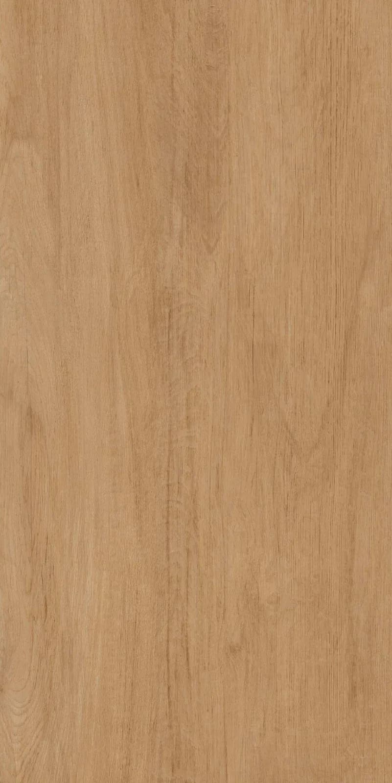 Merlin Wallnut — 600 × 1200 mm carving vitrified tile