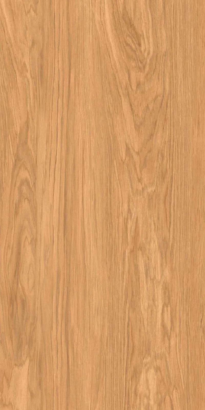 Terra Capachino — 600 × 1200 mm carving vitrified tile