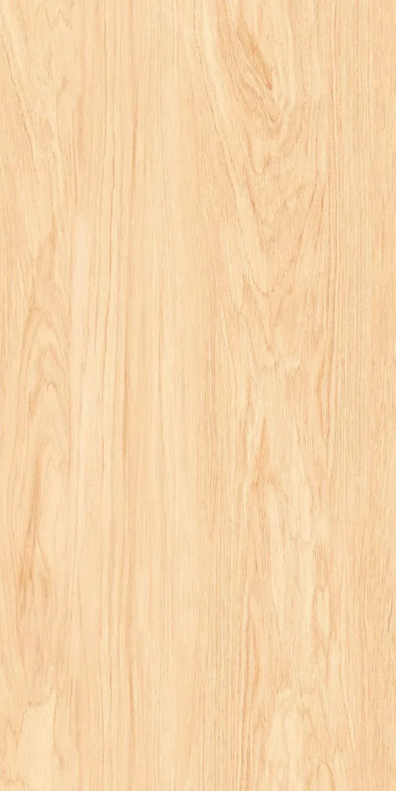 Terra Cookie — 600 × 1200 mm carving vitrified tile