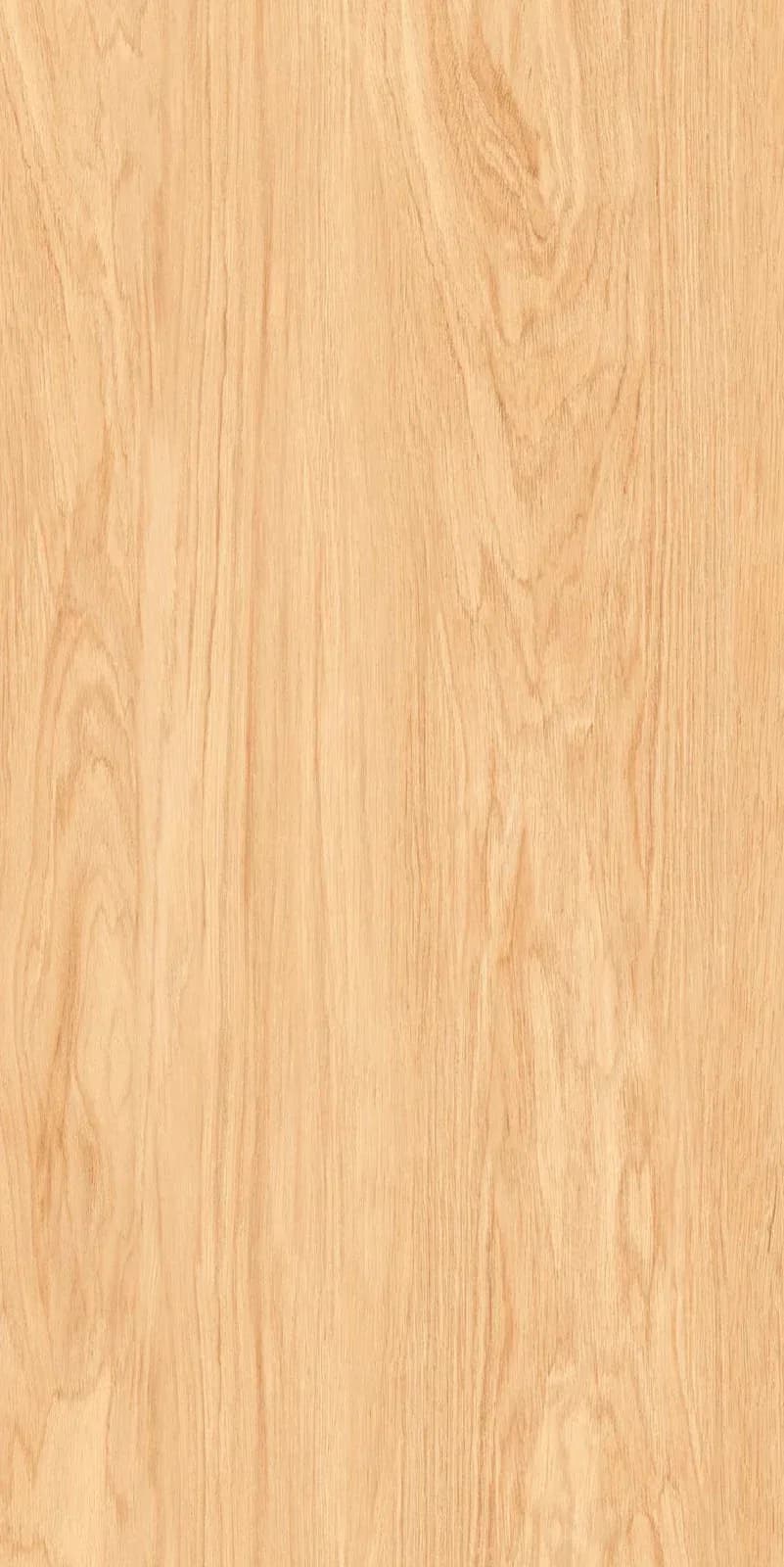 Terra Honey — 600 × 1200 mm carving vitrified tile
