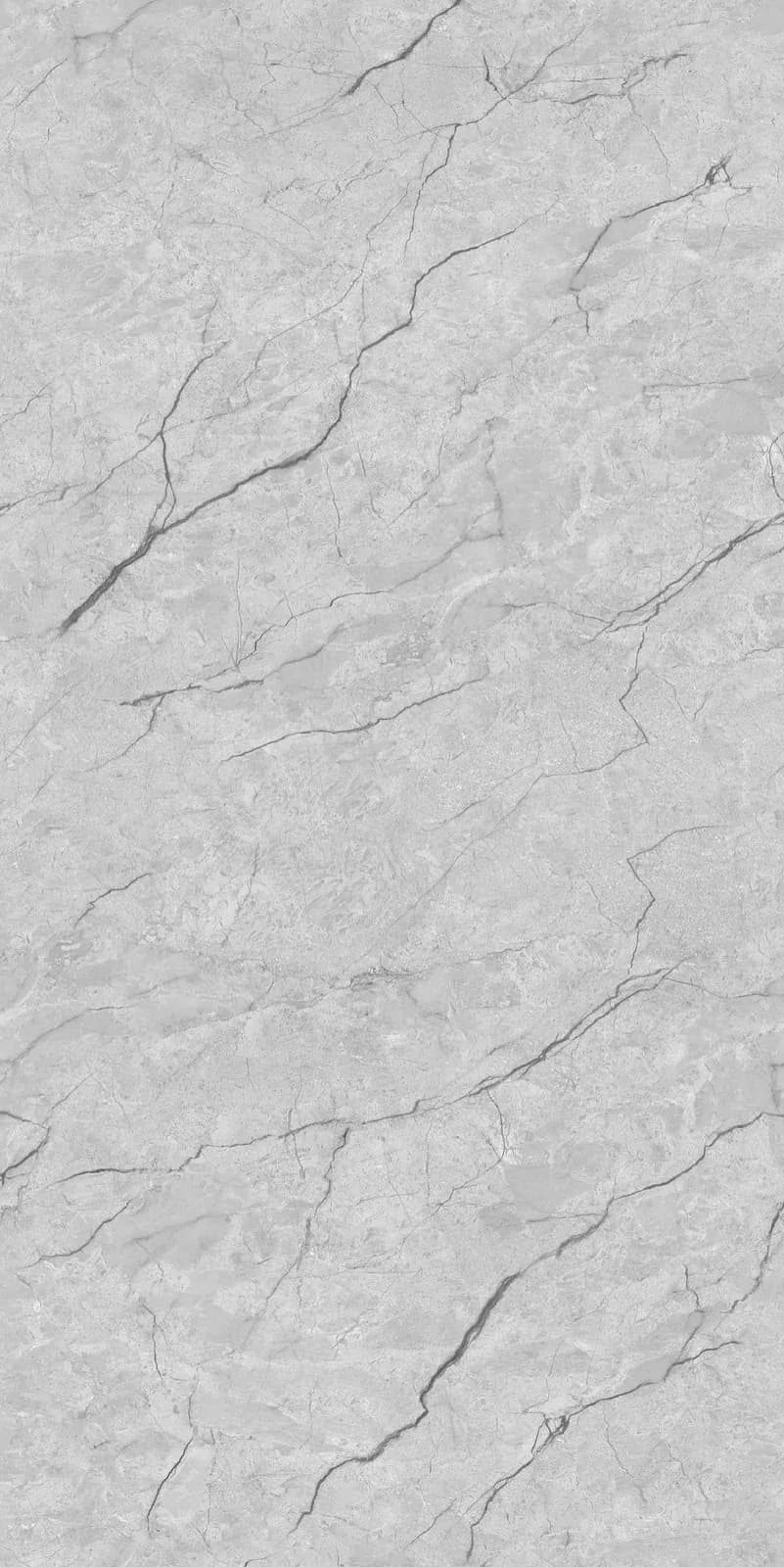 CRV Avario Grey — 600 × 1200 mm carving vitrified tile