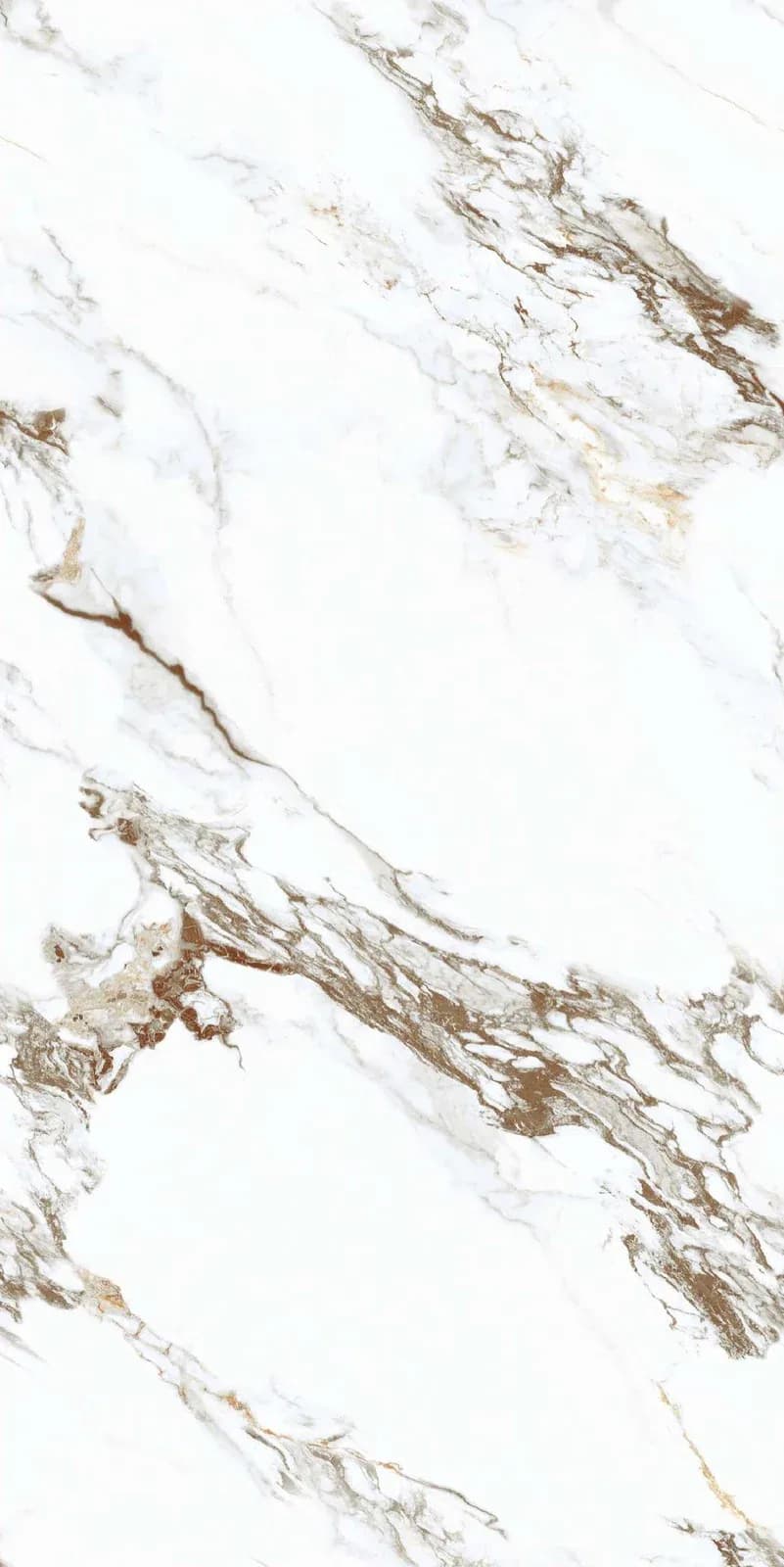 CRV Country Brown — 600 × 1200 mm carving vitrified tile