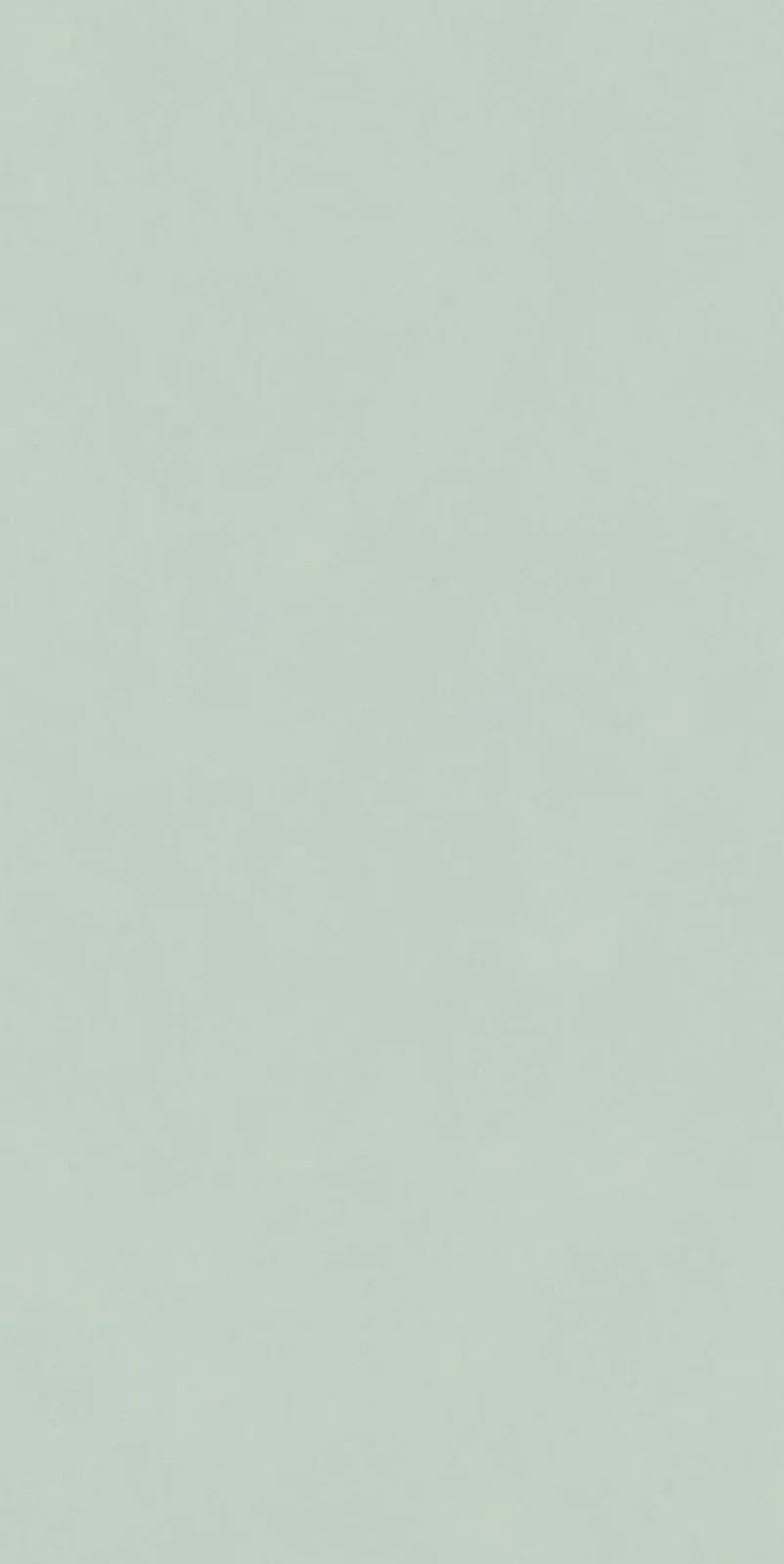 Gala Fern — 600 × 1200 mm matte vitrified tile