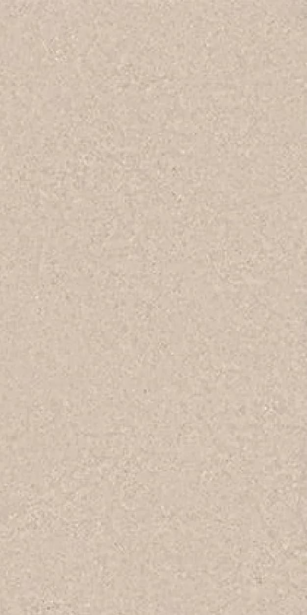 Aspire Beige — 600 × 1200 mm matte glazed vitrified tile