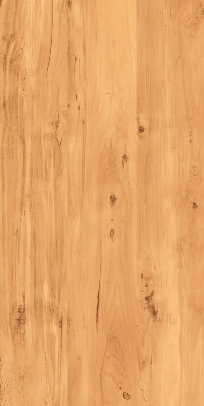 SG Alabama Natural — 600 × 1200 mm lapato vitrified tile