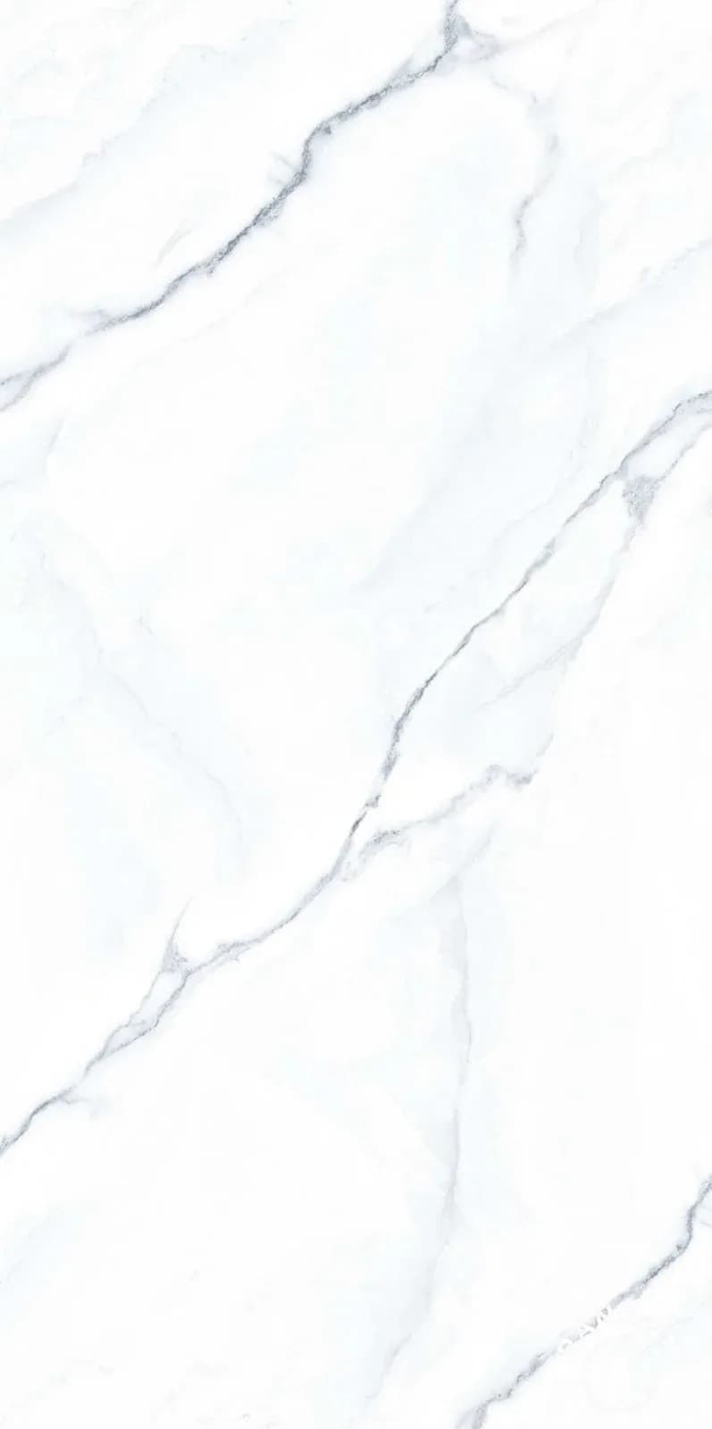 Carrara Blue — 600 × 1200 mm end carving vitrified tile