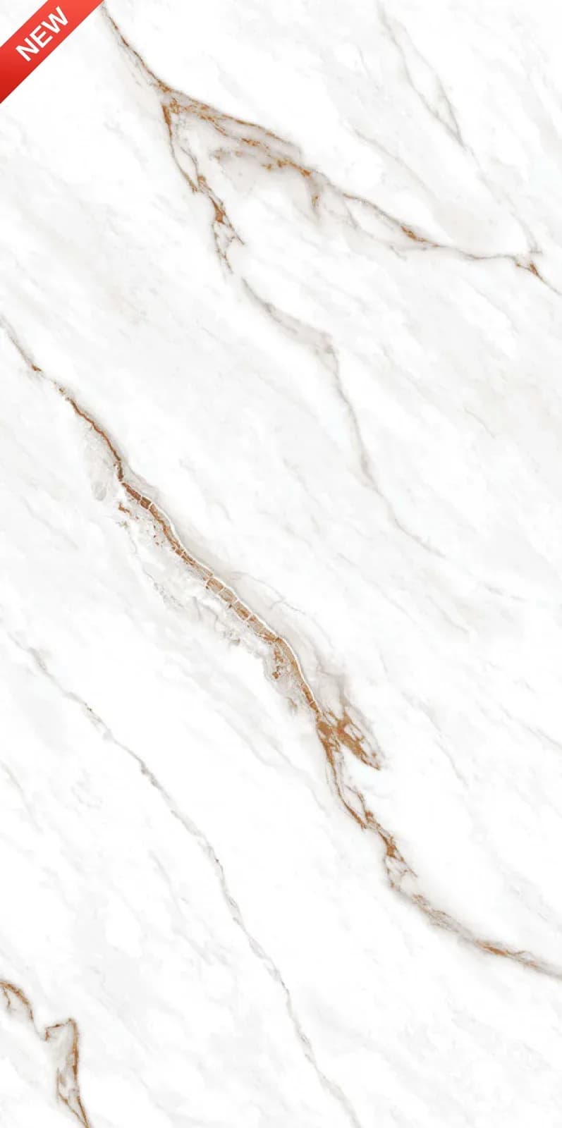 CRV Dioma Pearl — 600 × 1200 mm carving vitrified tile