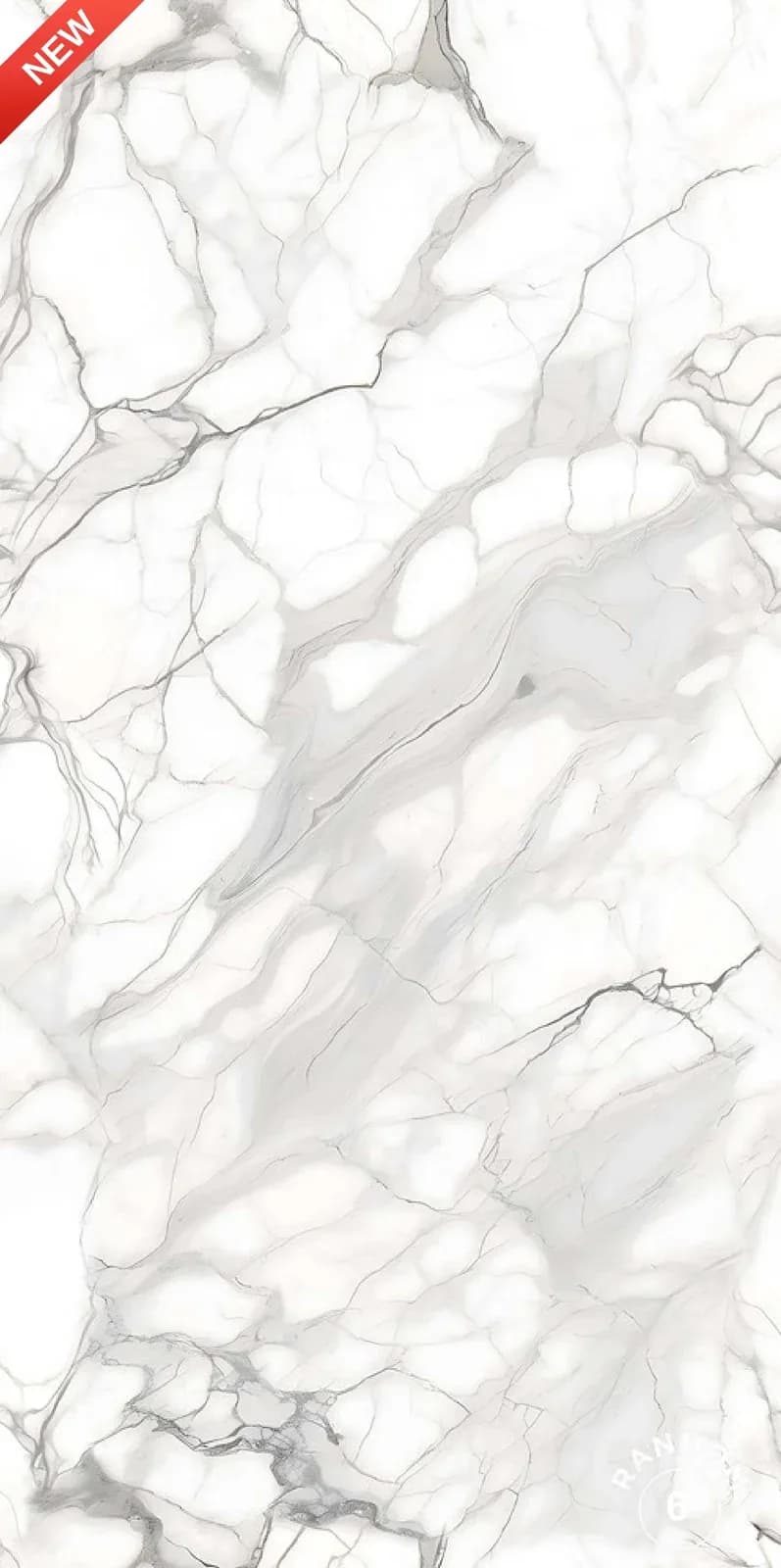 CRV Spider Satvario — 600 × 1200 mm carving vitrified tile