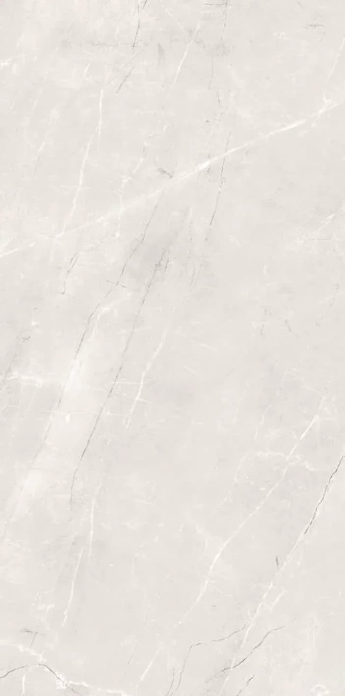 Ebonic Gris — 600 × 1200 mm glossy glazed vitrified tile