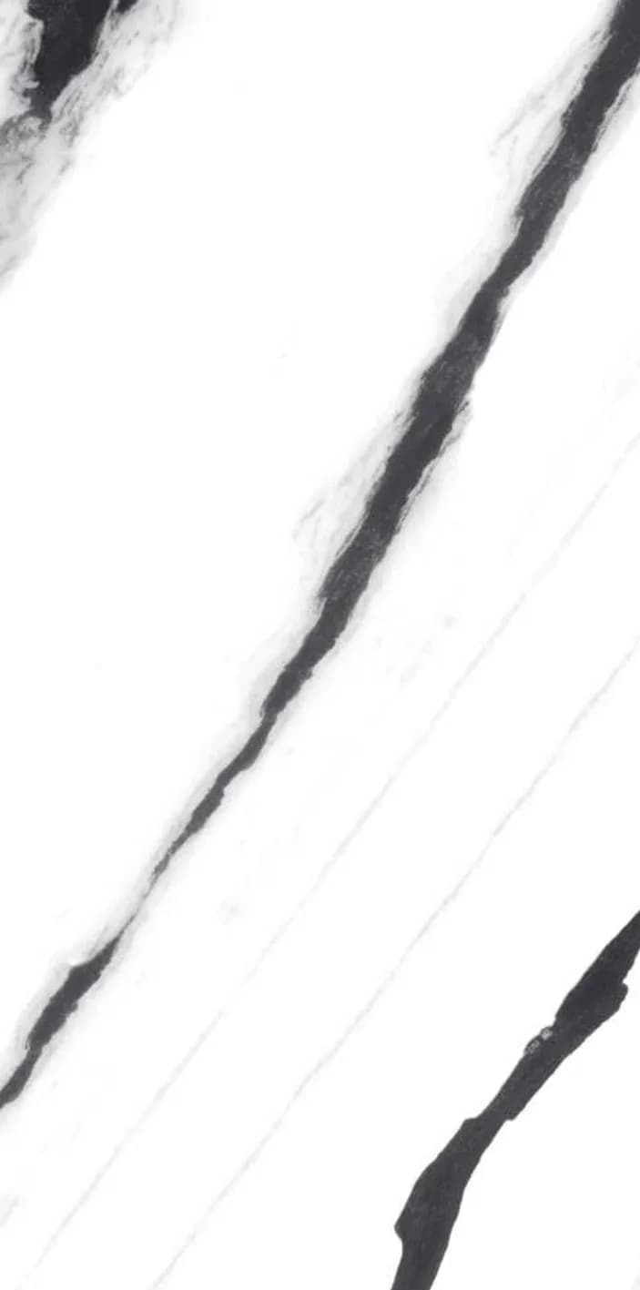 Panda Black — 600 × 1200 mm glossy glazed vitrified tile