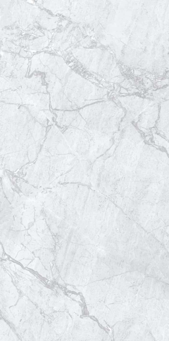 Portobello Light Grey — 600 × 1200 mm glossy glazed vitrified tile