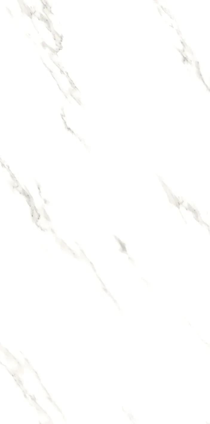 Reacal Grey — 600 × 1200 mm glossy glazed vitrified tile