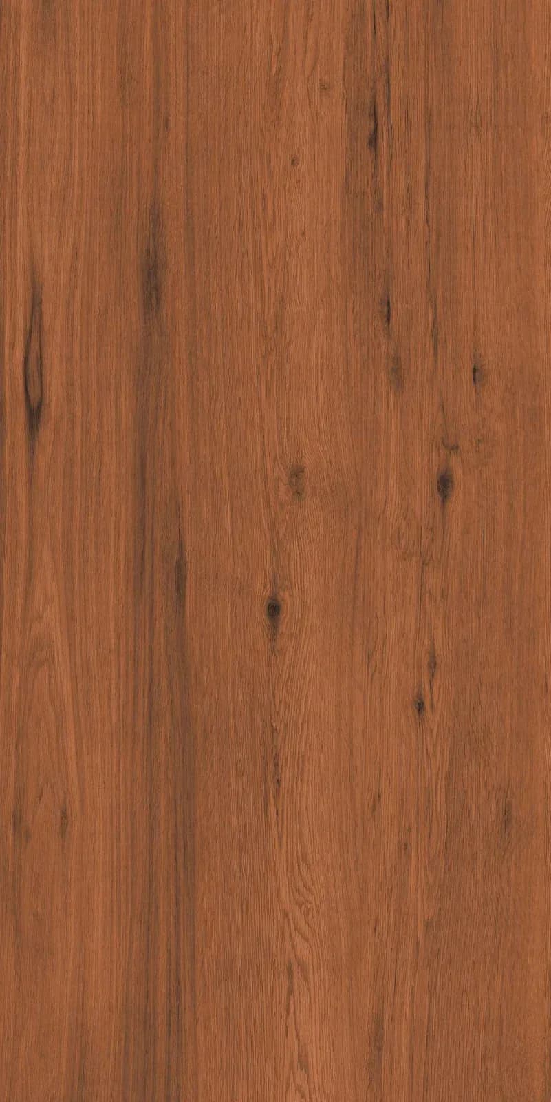 Canadian Wallnut — 600 × 1200 mm matte vitrified tile